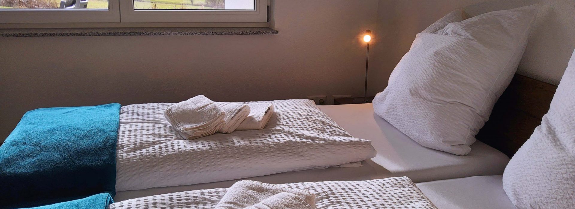 20250129_151022-compressed